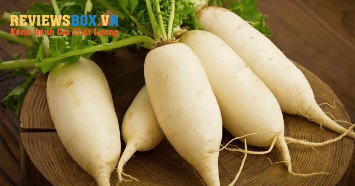 Bài Thuốc Trị bệnh Dân Gian Củ Cải