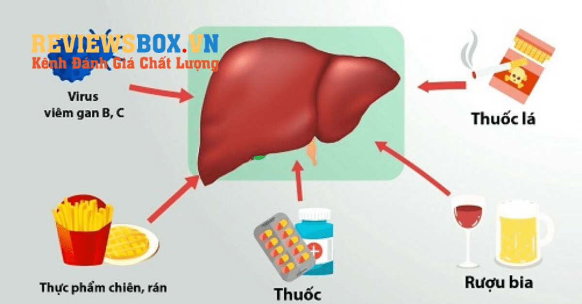 Có Gây Hại Cho Gan Không