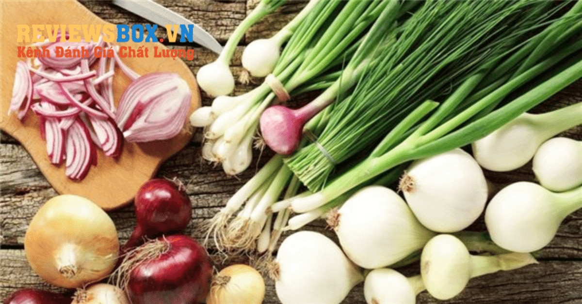 Hành Tây,Hành Tím, Tỏi, Gừng Và Đường
