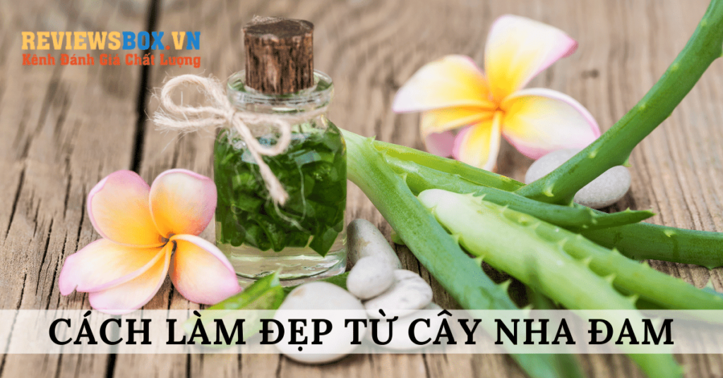 làm đẹp từ nha đam