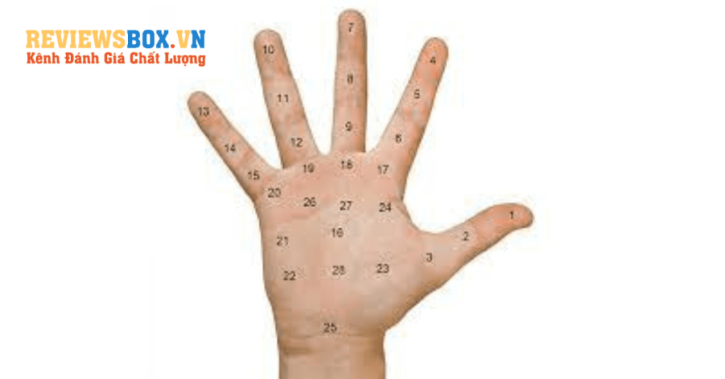 Ý Nghĩa Nốt Ruồi Son Trong Lòng Bàn Tay