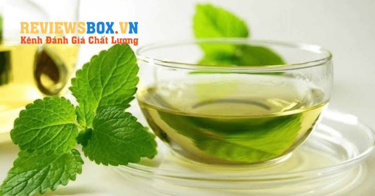 Cách Giảm Đau Dạ Dày Bằng Lá Bạc Hà