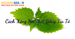 Cách Xông Hơi Mặt Bằng Tía Tô