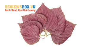 Những Công Dụng Của Lá Tía Tô